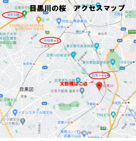 目黒川の桜どこからどこまで？最寄駅からの行き方を解説！